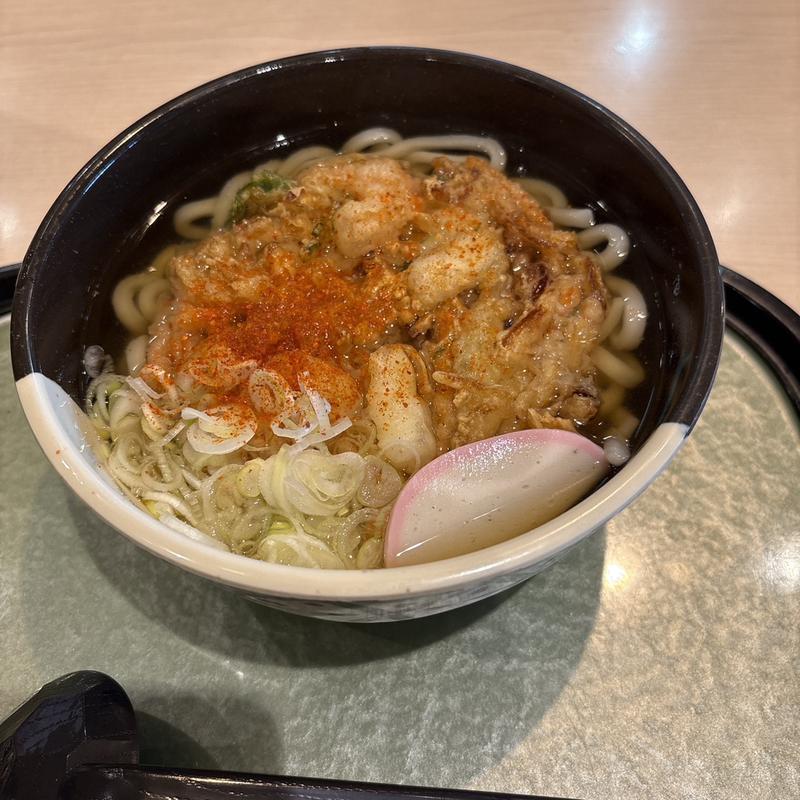 かき揚げうどん(友部サービスエリア)