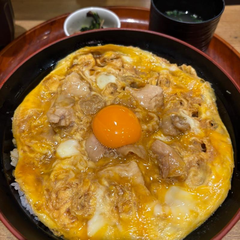名古屋コーチン親子丼(鳥開総本家 名駅エスカ店)