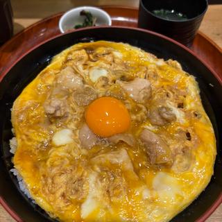 名古屋コーチン親子丼(鳥開総本家 名駅エスカ店)