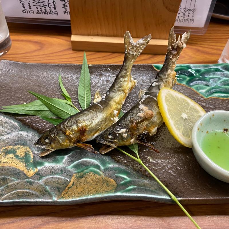 鮎　神通川　小矢部川(親爺 )