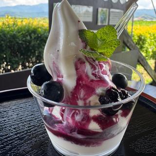 ブルーベリーソフトクリーム(キヤンセ （KIYANSE）)