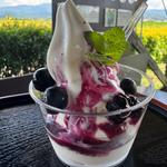 ブルーベリーソフトクリーム