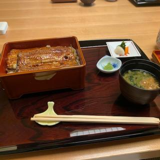 (日本料理 山里)