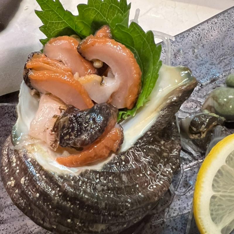 活サザエ刺身(我逢人かっぱ  （【旧店名】祇園かっぱ）)