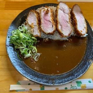 手仕込みヒレのカツカレー(spice32 大阪駅前第1ビル店)