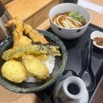 天丼ミニうどんセット(ぶっかけ 冷)