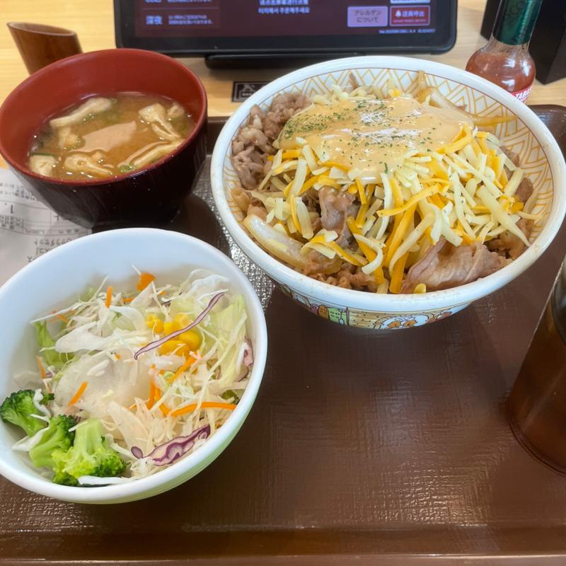 とろ〜り3種のチーズ牛丼+サラダセット(すき家 城陽久世店 )