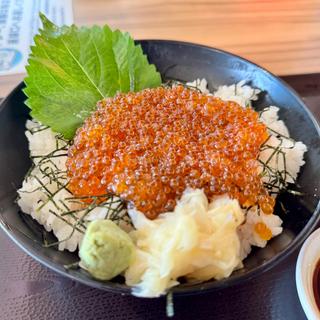 贅沢いくら丼