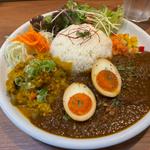 ビーフとお好みキーマのあいがけカレー+味玉