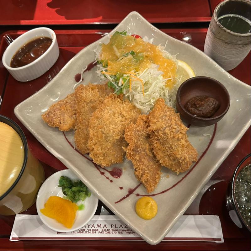 ヒレカツ定食(吉備サービスエリア（上り線）レストラン )