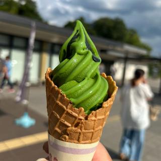 村抹茶ソフトクリーム