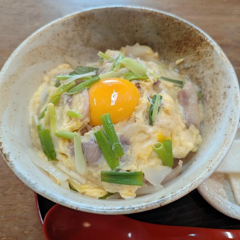 カモ丼(入之波温泉 山鳩湯 （しおのはおんせん やまばとゆ）)
