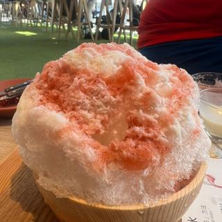 サントリー天然水のかき氷 苺みるく