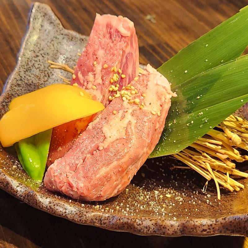 黒毛和牛 特選ハラミ(肉の匠 知多屋)