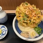 かき揚げおろしぶっかけ