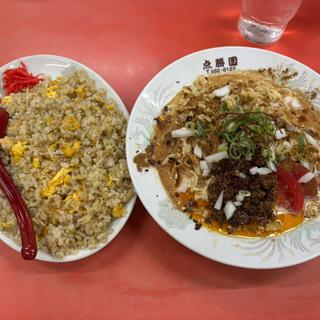 冷やし担々麺 焼き飯 小