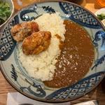 唐揚げカレー