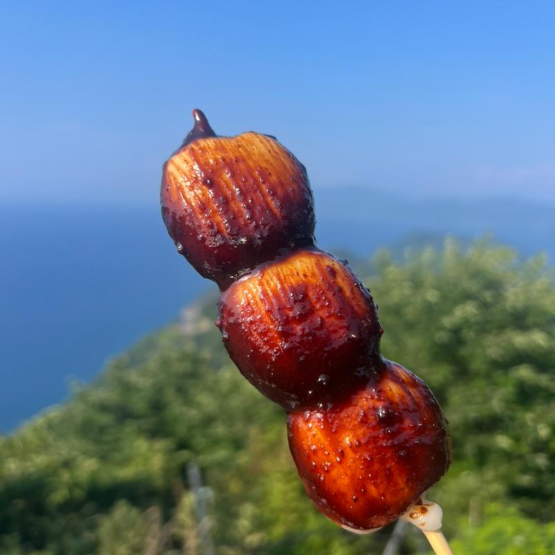大きな焼き団子 味噌ダレ(和風カフェ 五湖庵)