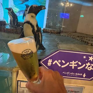 ペンギン　生ビール