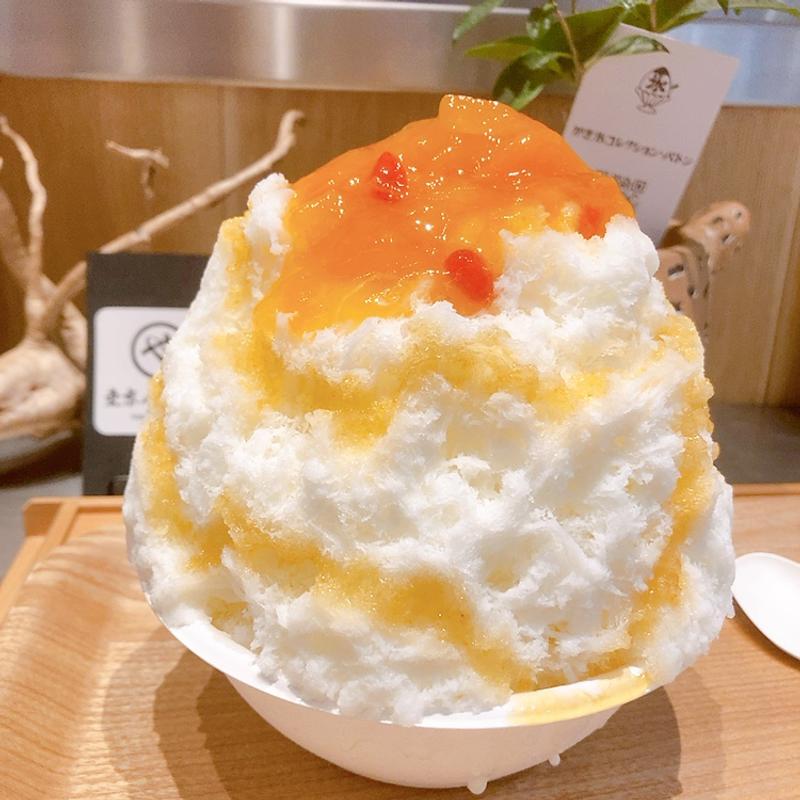 あんず杏仁(かき氷コレクション・バトン)