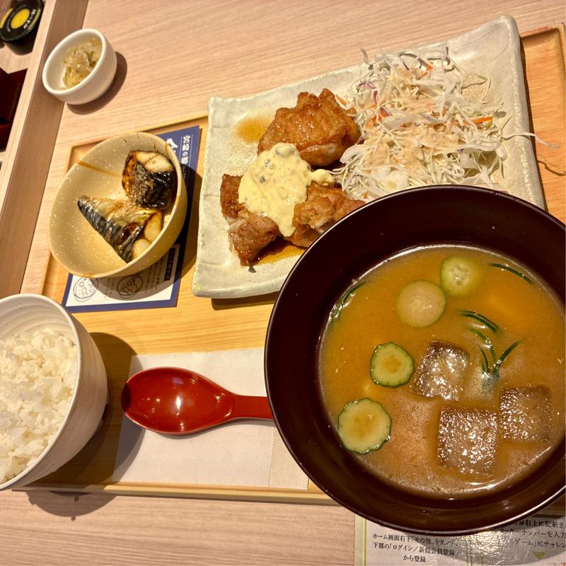 冷や汁ととり南蛮の定食(やよい軒 扇町店)