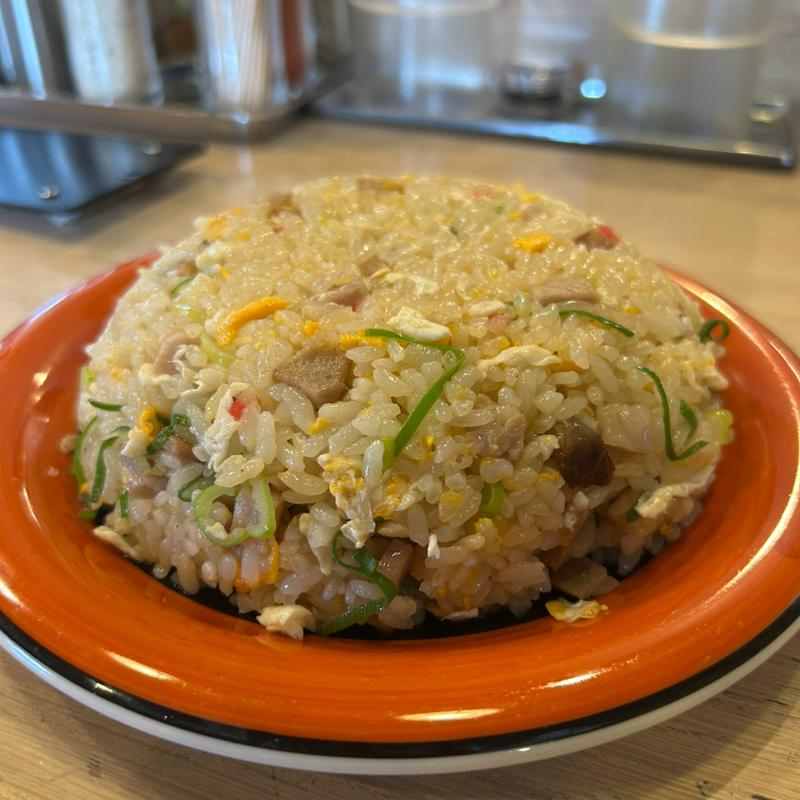 焼飯(MENYA BIBIRI)