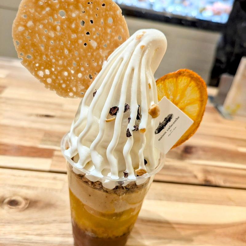 シェリー(メゾン シーラカンス)