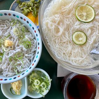 『揖保乃糸』とミニしらす丼セット