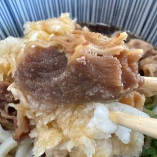 鬼おろし肉冷ぶっかけうどん