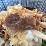 鬼おろし肉冷ぶっかけうどん(うどんそば七福)