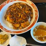 麻婆飯