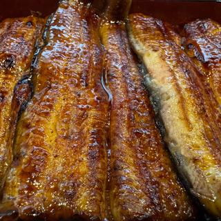 鰻重 特