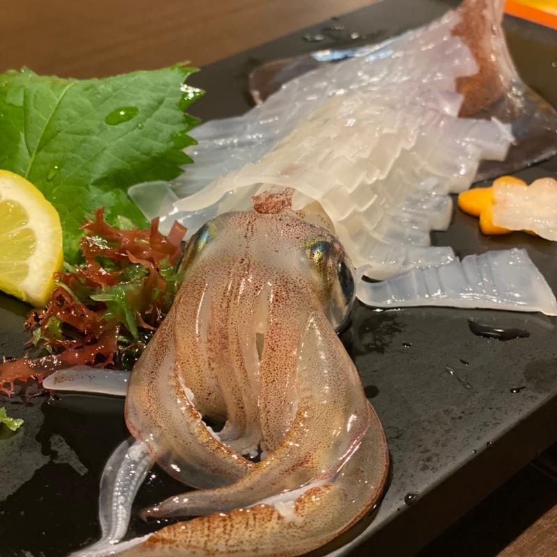 いかの活造り(ささいずみ )