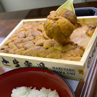 キタムラサキ雲丹　箱250g