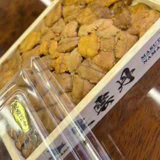 キタムラサキ雲丹