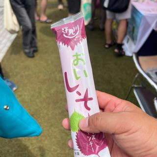 高知のシソアイスキャンデー