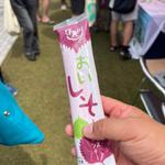 高知のシソアイスキャンデー