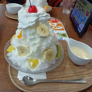 シロクマ