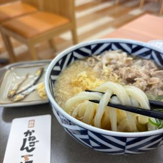 いりこ油の肉うどん