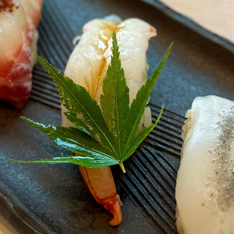 弥山　寿司8貫　生海老(宮島鮨 まいもん)