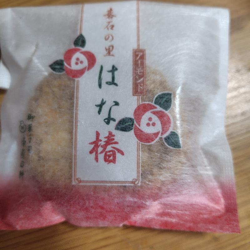 はな椿(壷屋田耕 )