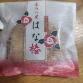 はな椿