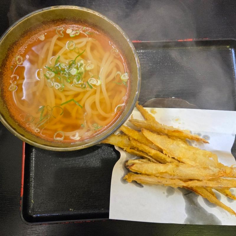 ゴボウ天うどん(大地のうどん 本店)