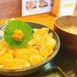 帆立の漬け丼