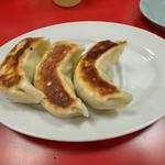 手づくり大餃子3こ