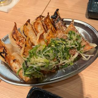 かっちゃん餃子・ネギ塩餃子