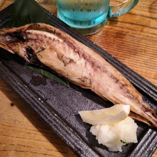 鯖一夜干し