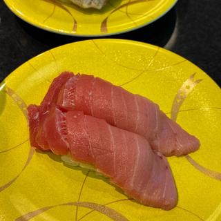 本鮪中トロ