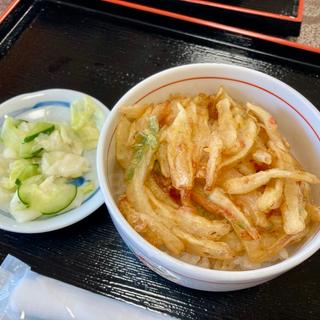 ミニかき揚げ丼