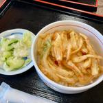 ミニかき揚げ丼